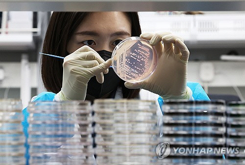 지난 5월 19일 경기도 수원시 권선구 경기도보건환경연구원에서 연구원들이 식중독균 배양분리작업을 시연하고 있다. *사진은 기사 내용과 관련 없음. [수원=연합뉴스]